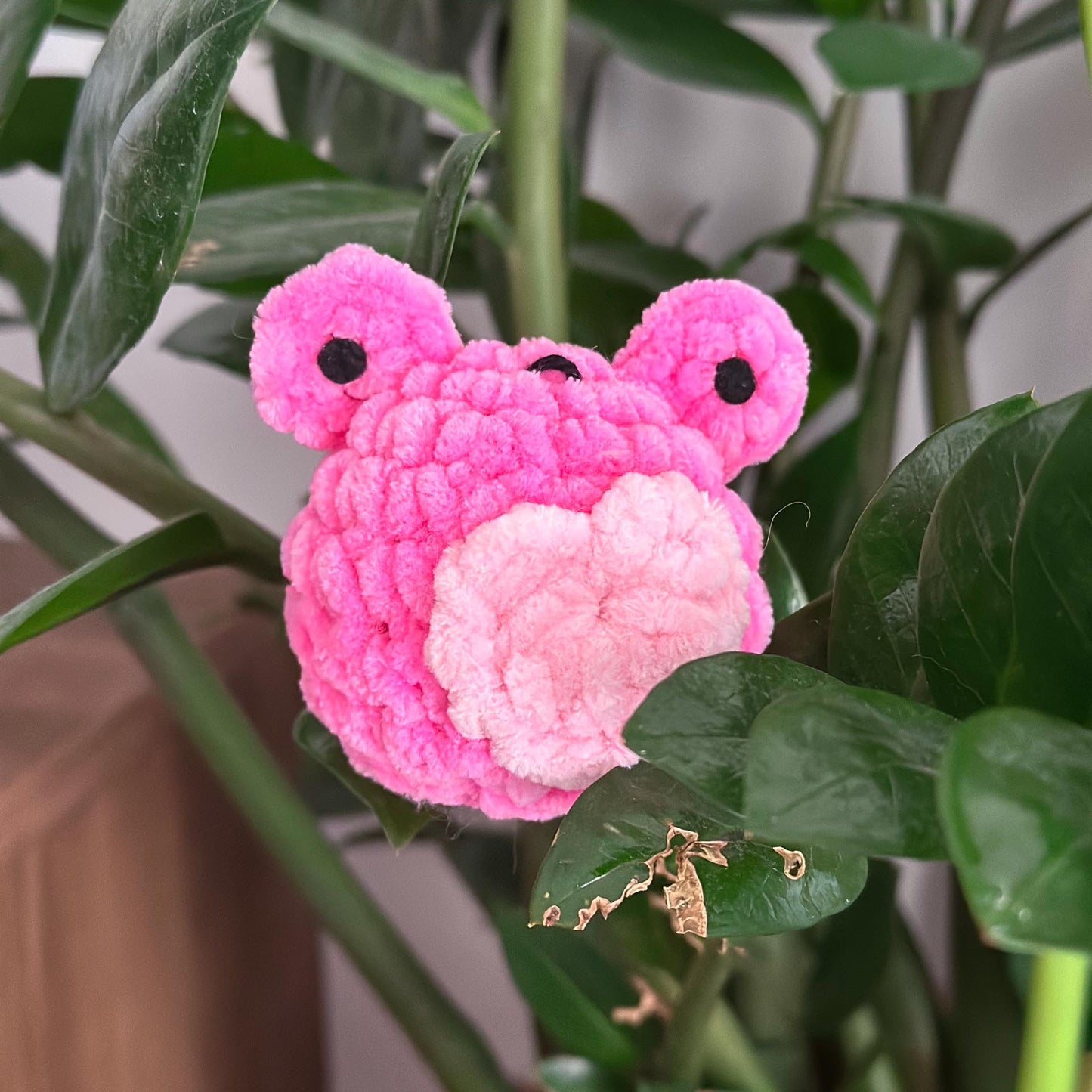 Grenouille cœur 🐸