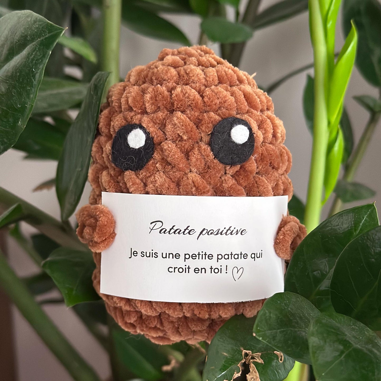 Patate positive 🥔