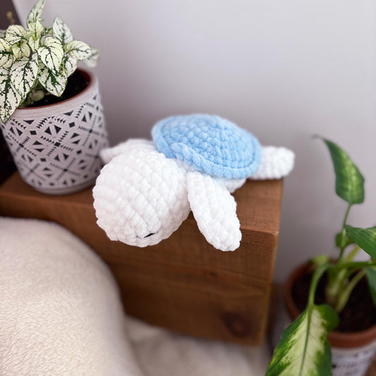 Tortue blanche & bleue 🐢