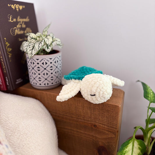 Tortue écru & vert 🐢