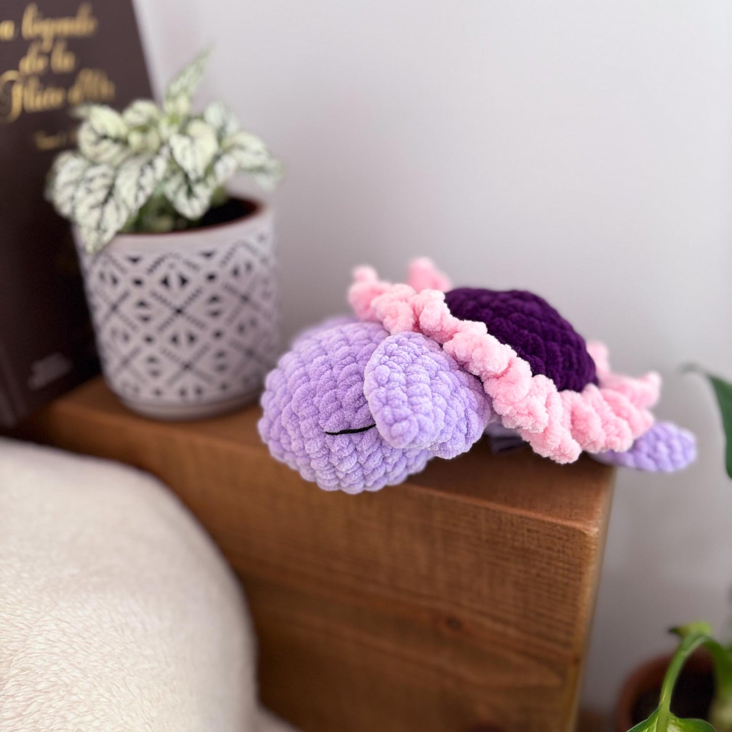 Tortue fleur violette 🌸