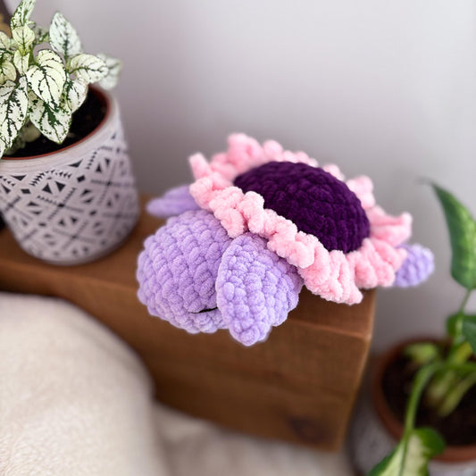 Tortue fleur violette 🌸