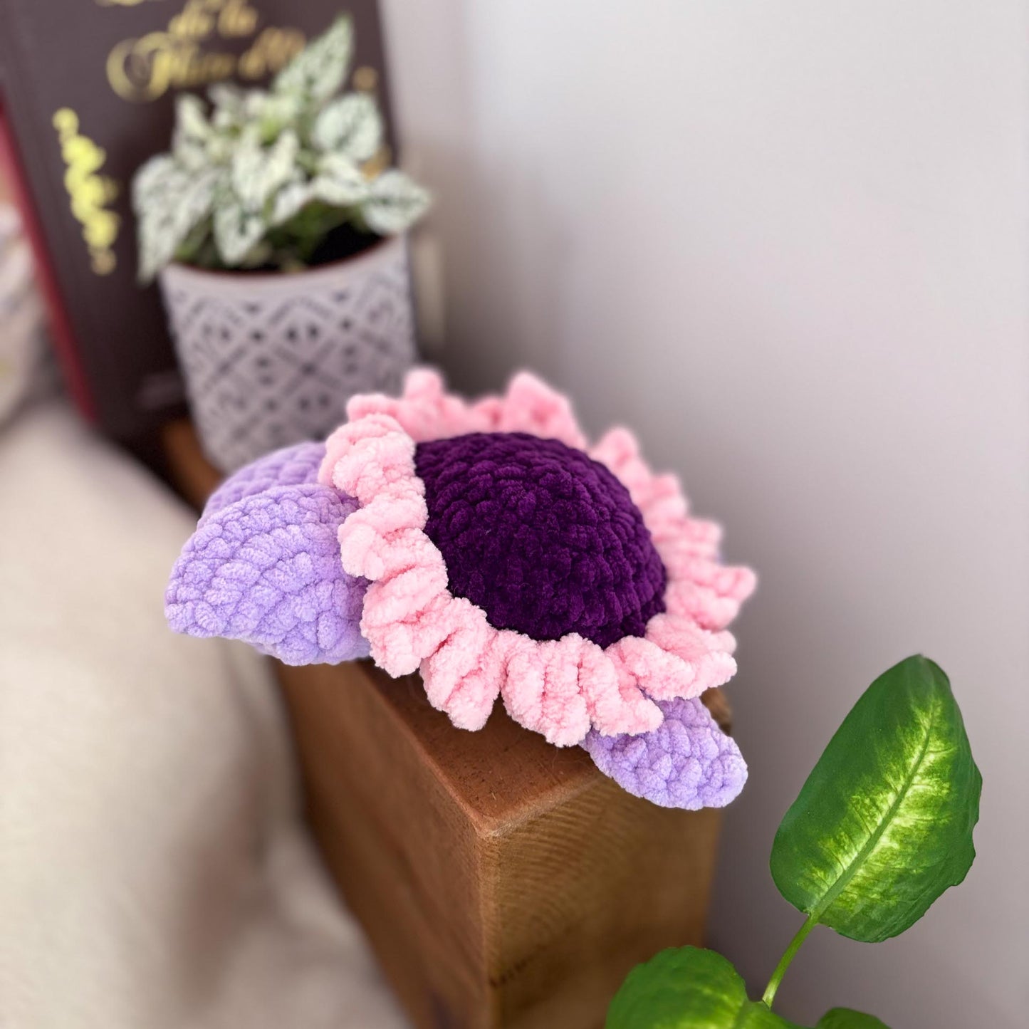 Tortue fleur violette 🌸