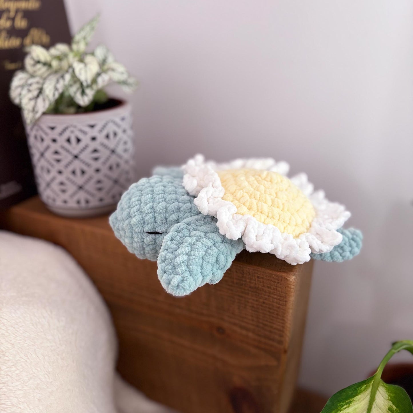 Tortue marguerite 🌼