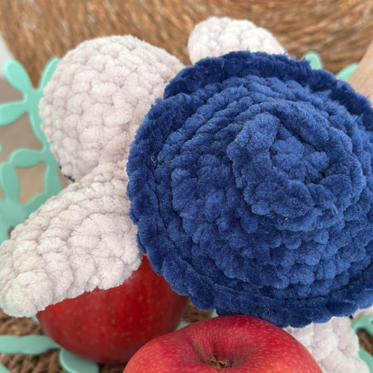 Tortue myrtille 🫐