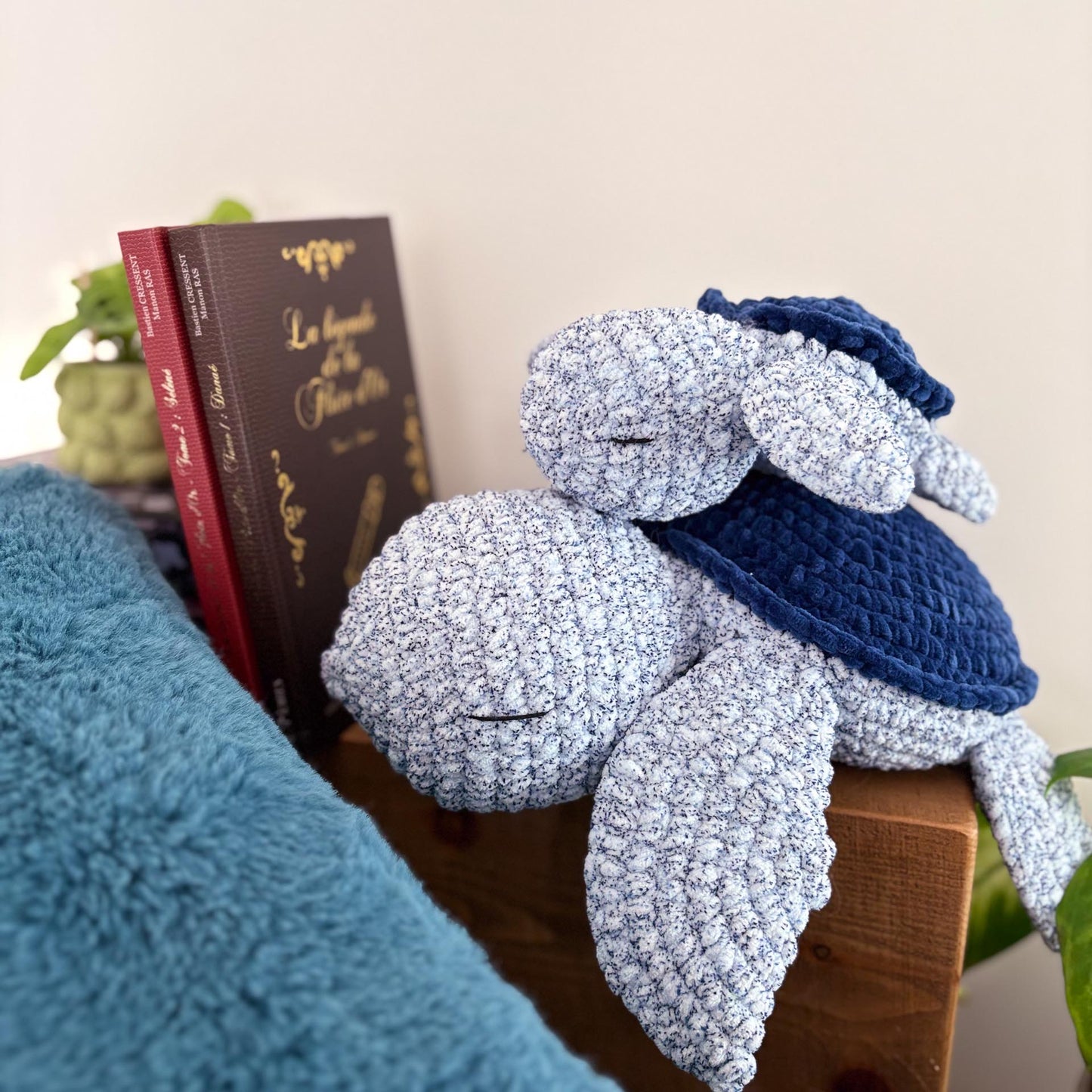 Tortue océan 🐢
