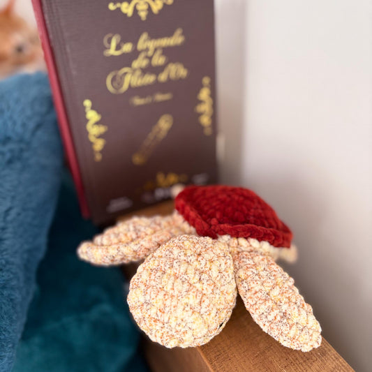 Tortue solaire ☀️