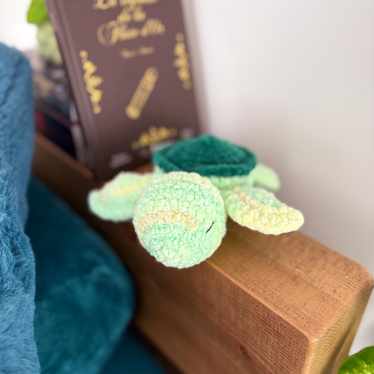Tortue végétal 🌿