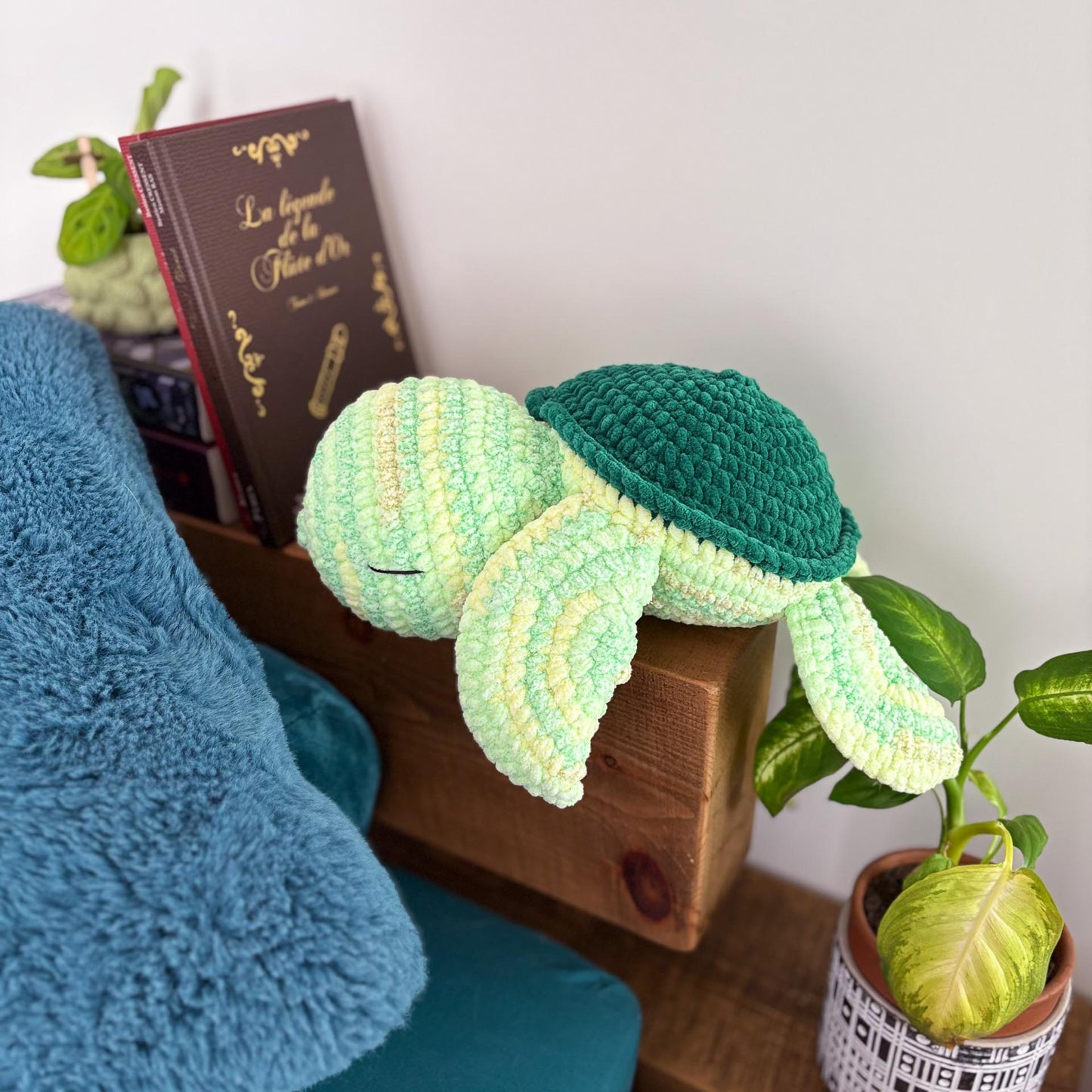 Tortue végétal 🌿