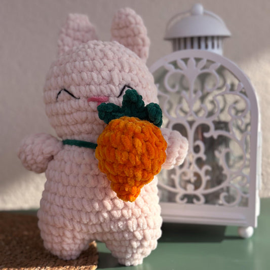 Lapin carotte 🥕