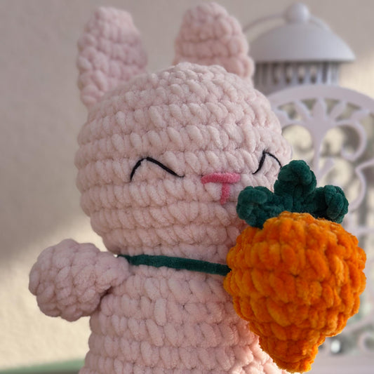 Lapin carotte 🥕