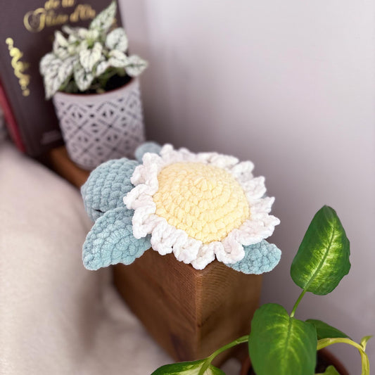 Tortue marguerite 🌼