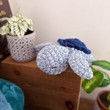 Tortue océan 🐢