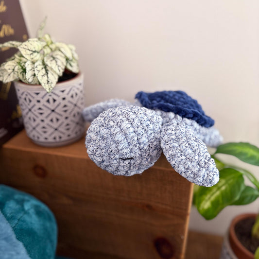 Tortue océan 🐢